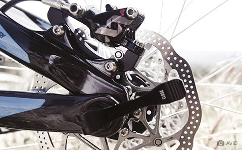 Avid - Kategorie-Header