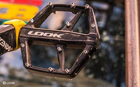 LOOK - Kategorie-Header