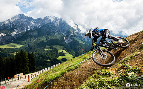 Freeride & Downhill Bikes - Kategorie-Header