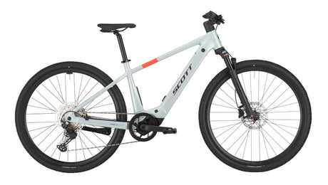 Scott Passage 20 flake gris (2025)