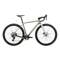 Orbea TERRA H45 1X (2025) | Gravel bike | Artichaut (Mat) - Lilas (Mat) – aktuelle Variante