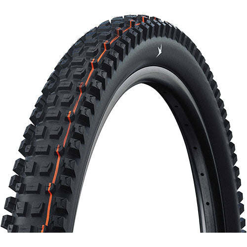 Schwalbe ALBERT TRAIL PRO SOFT Radial E-50 29" Tubeless Ready noir