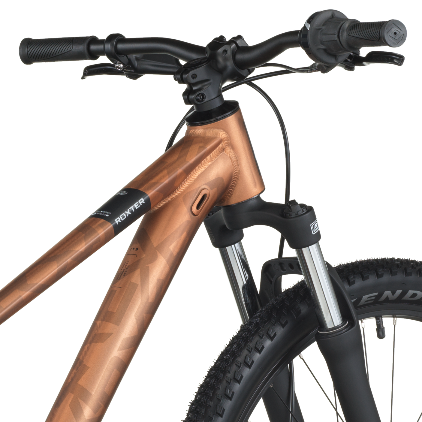 Scott Roxter 600 alliage brun (2025)