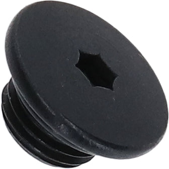 Vis de purge Shimano ST-R7020 avec joint d'étanchéité