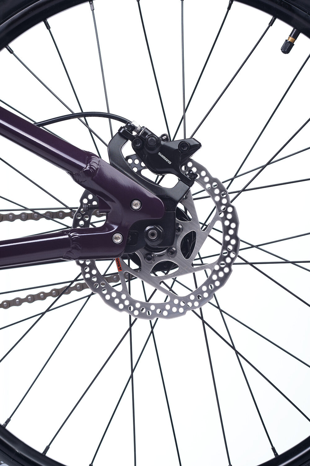 Academy PUMP 6 Prune