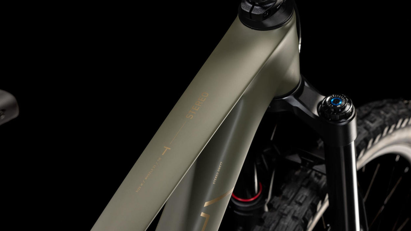 Cube Stereo ONE77 C:68X TM 29 dustyolive´n´gold (2026)