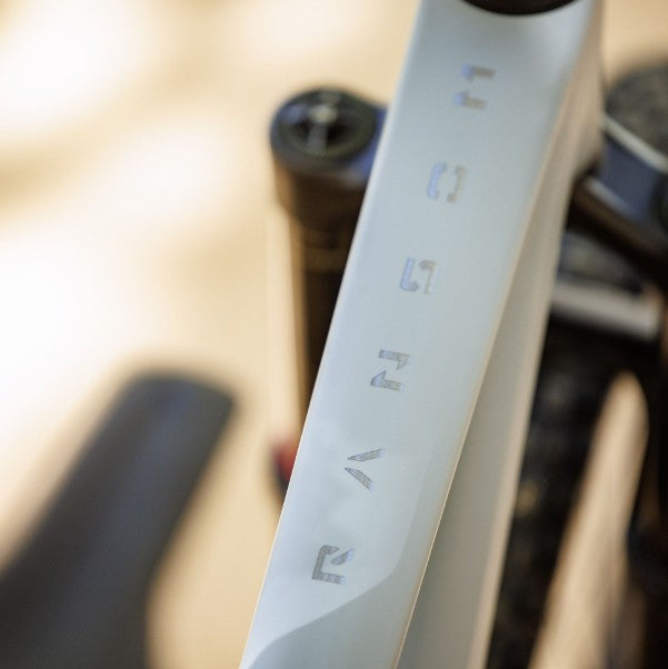 Scott Ransom 930 Diamant Requin Gris