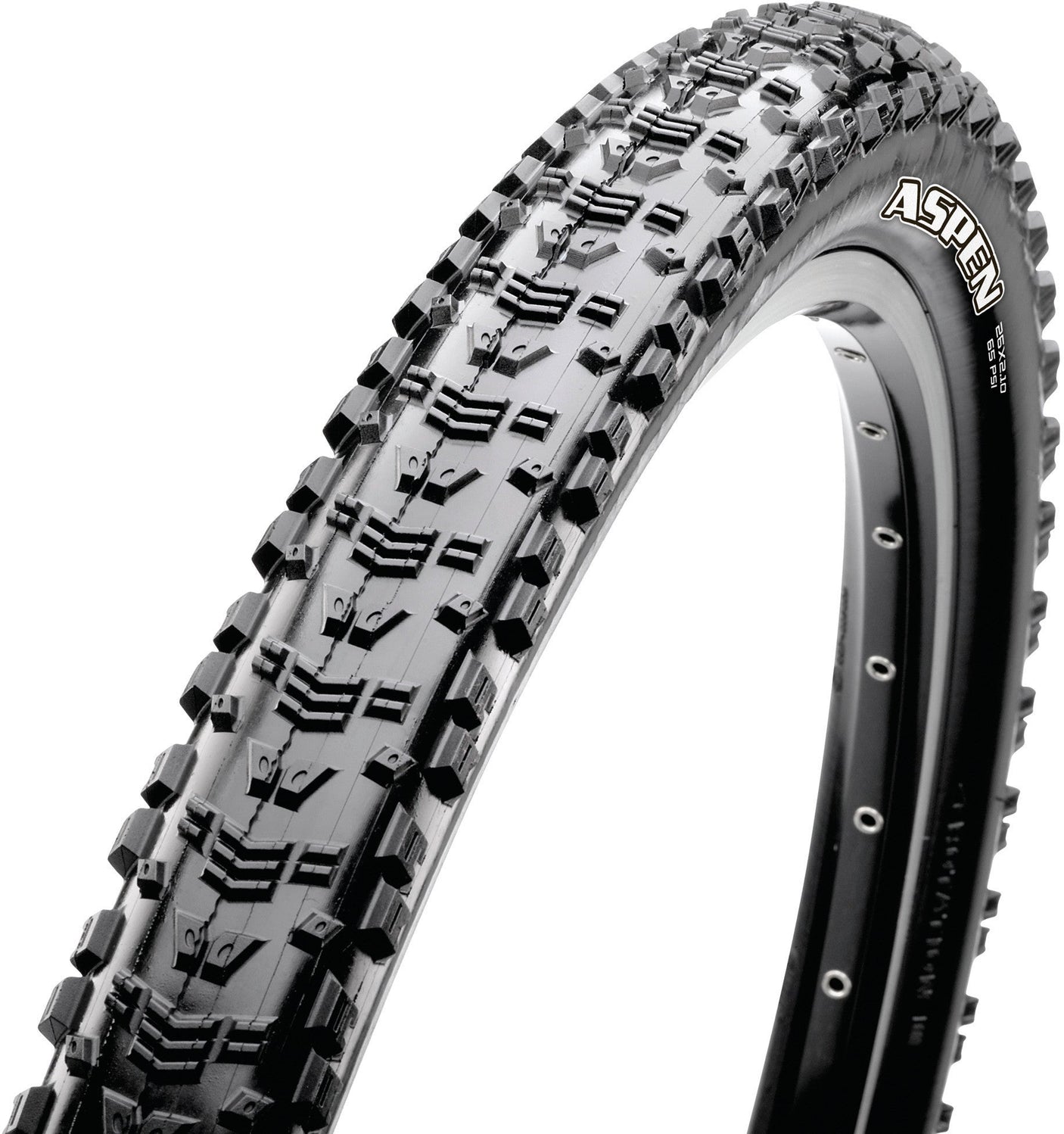 Pneu pliant Maxxis Aspen 29x2.25" Dual EXO TR noir