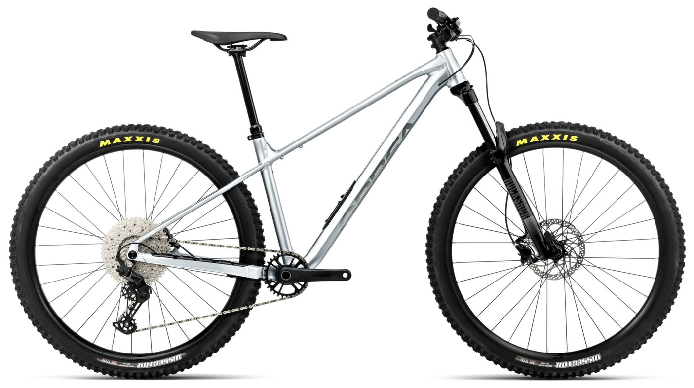 Orbea LAUFEY H30 Smooth Silver (Mat) - Titanium (Brillant)