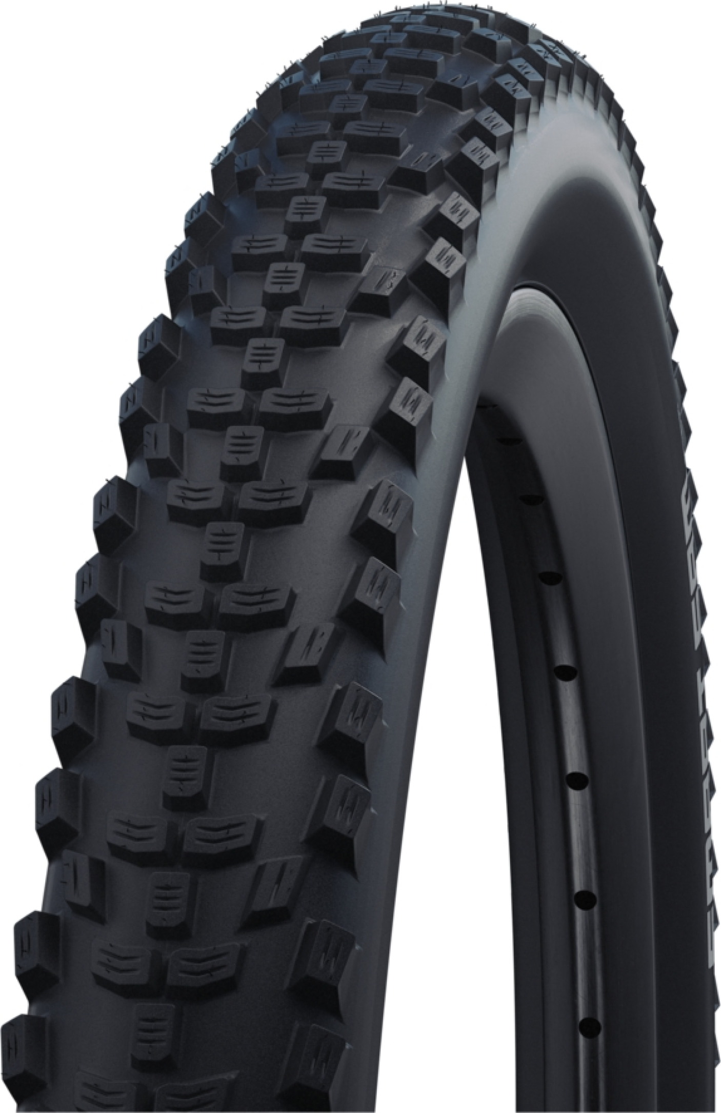 SCHWALBE Smart Sam Performance pneu à tringle rigide 29x2.60" DD RaceGuard Snakeskin Addix marron/noir