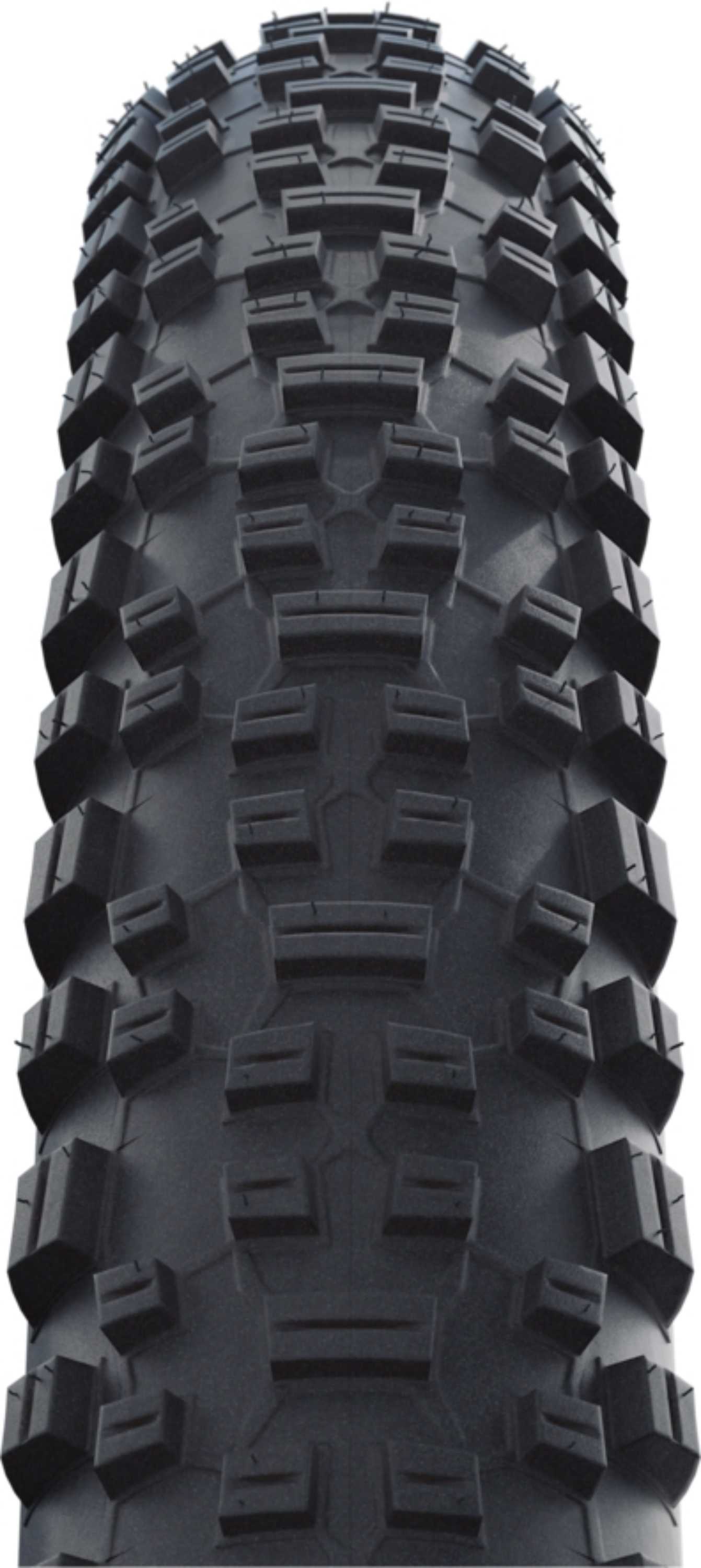 Schwalbe Rapid Rob | Active Line | K-Guard Noir