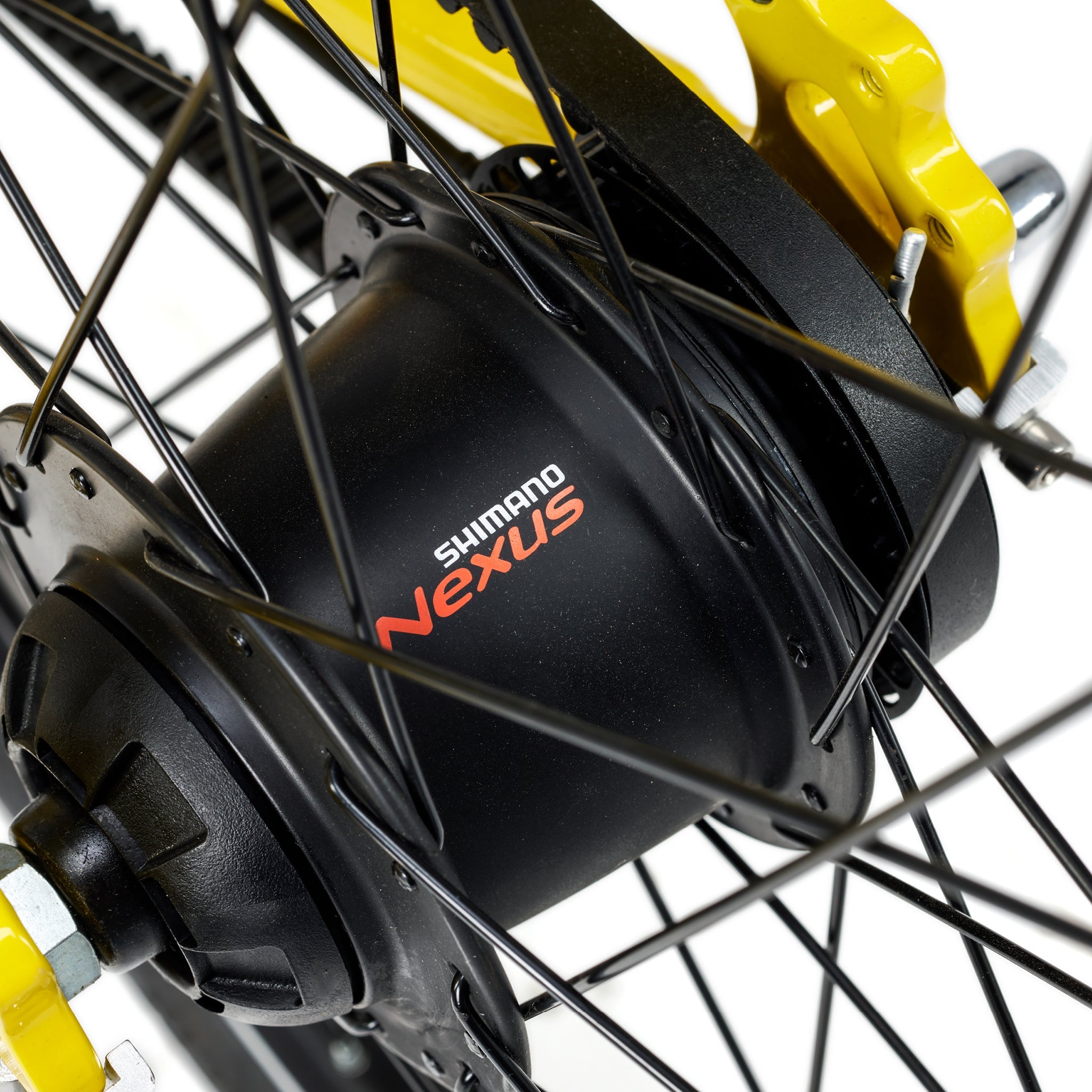 ACADEMY Grade 5 Courroie 24