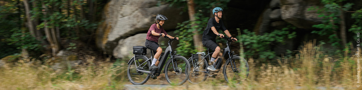 E-Bikes Kategoriebild