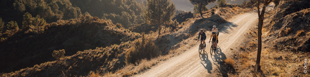 E-Gravelbikes Kategoriebild