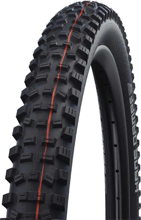 Schwalbe Hans Dampf Super Trail Evolution pneu pliant 29x2.35" TLE E-25 Addix Soft noir