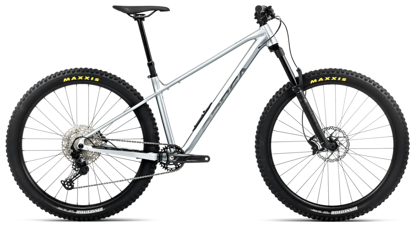 Orbea LAUFEY H10 Argent Lisse (Mat) - Titane (Brillant)