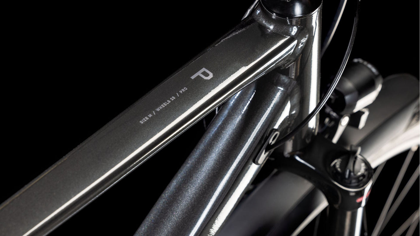 Cube Kathmandu Pro gris´n´lunar (2025)