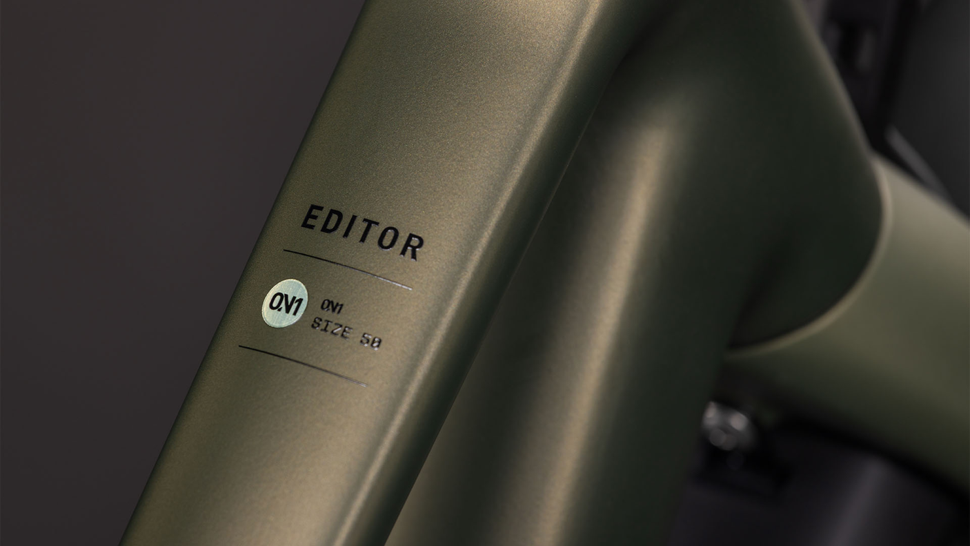 Cube Editor ONE FE Trapèze reedgreen´n´black (2026)