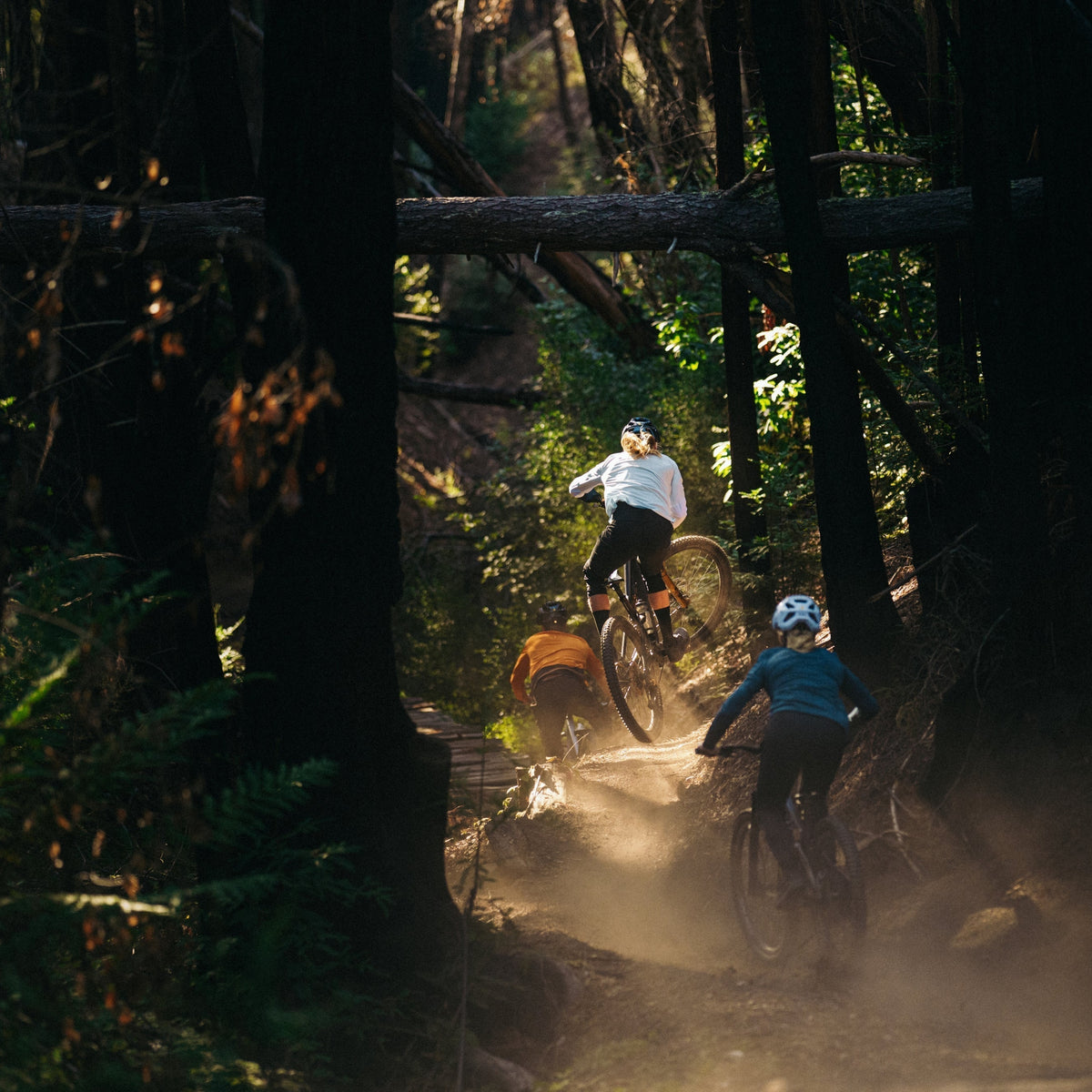 Fox Racing : marque culte pour vêtements MTB et casques & bikester.fr