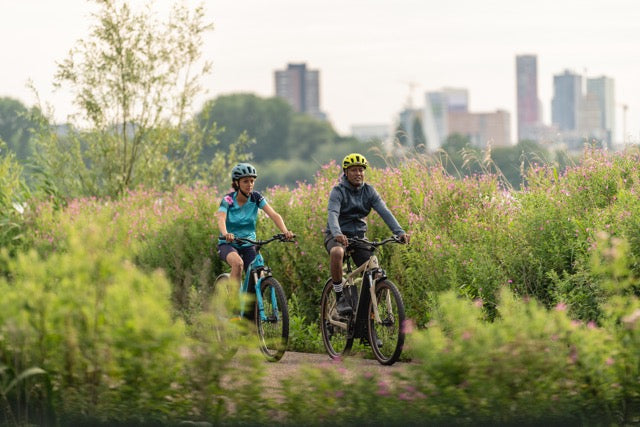 E-Bikes Trekking