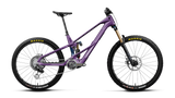Orbea WILD LT M-LTD RS MULLET Royal Plum-Noctiluca C.View (Brillant)