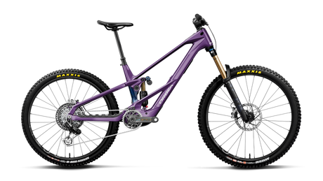Orbea WILD LT M-LTD RS MULLET Royal Plum-Noctiluca C.View (Brillant)