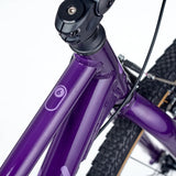 Academy GRADE 6 Violet