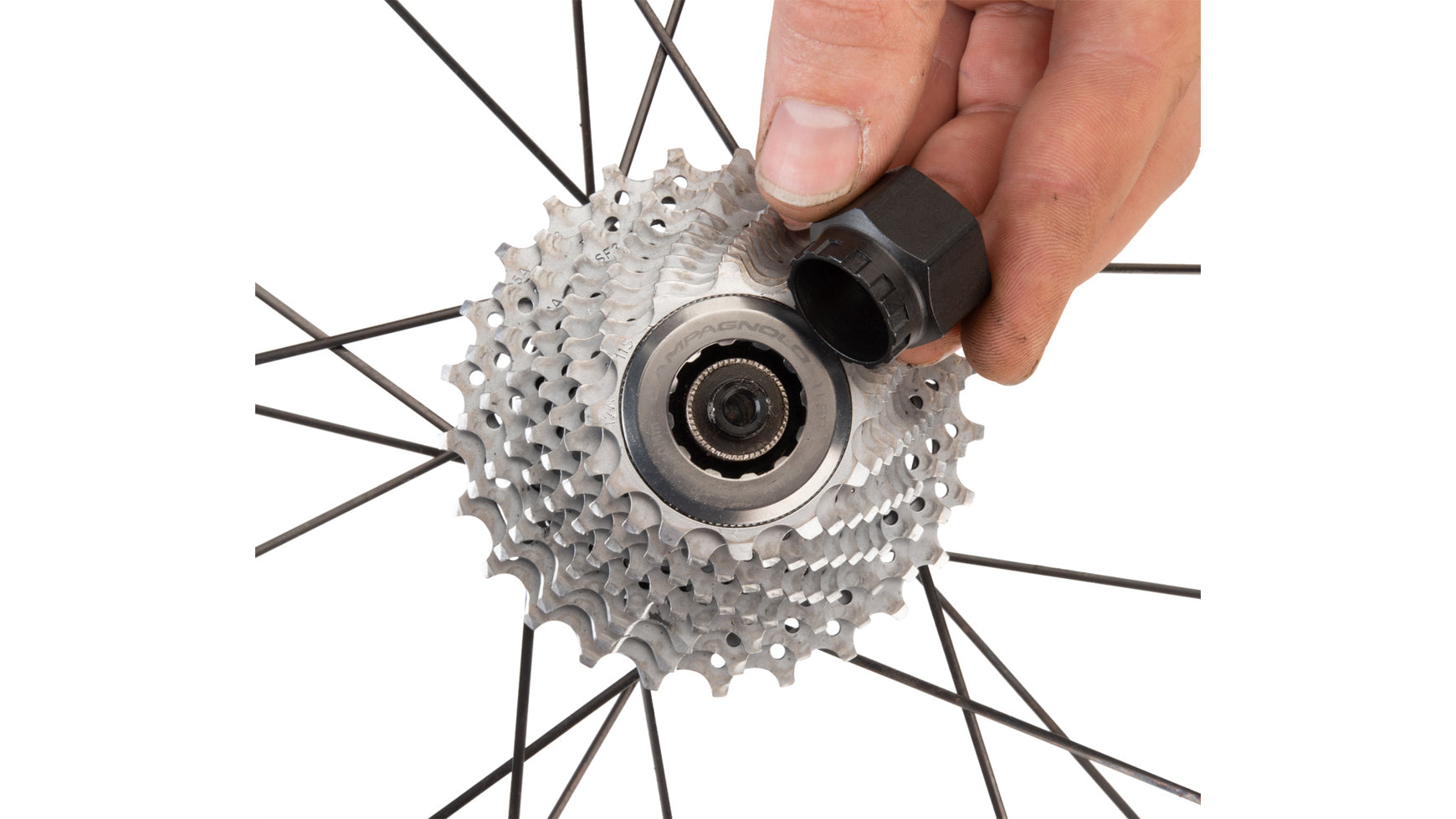 Park Tool BBT-5/FR-11 Outil de verrouillage Boîtier/Pignon BTM