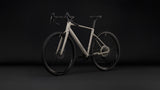 Cube Nuroad EX oatgrey´n´black (2027)