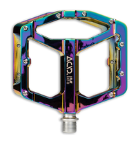 Acid Pédale FLAT A17-IB oil slick – aktuelle Variante