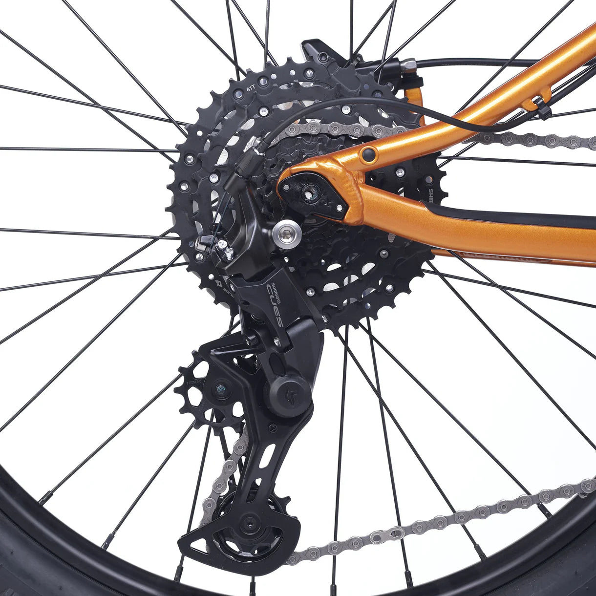 Academy Trail 5 Ambre