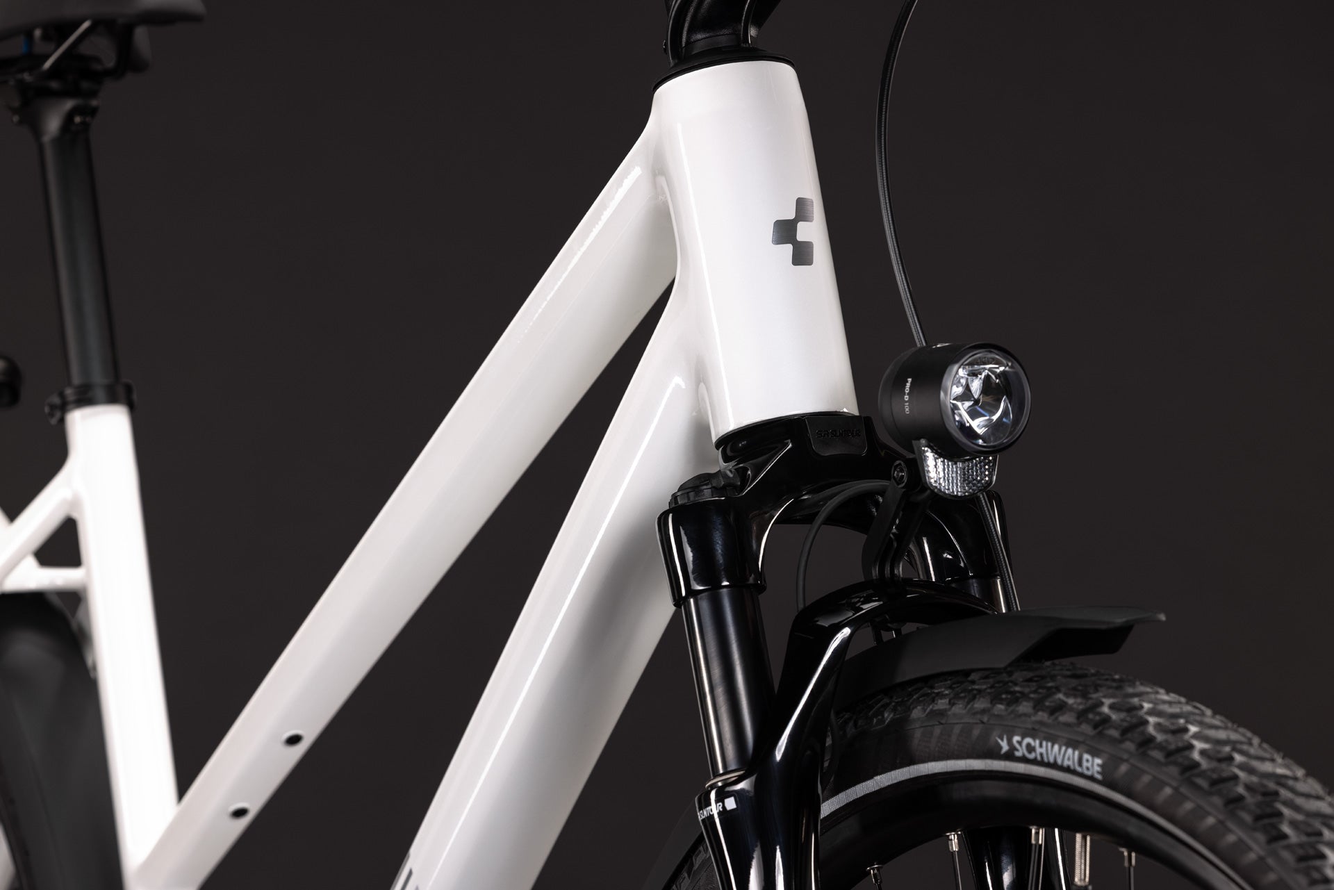 Cube Kathmandu Pro Trapèze metallicwhite´n´chrome (2027)