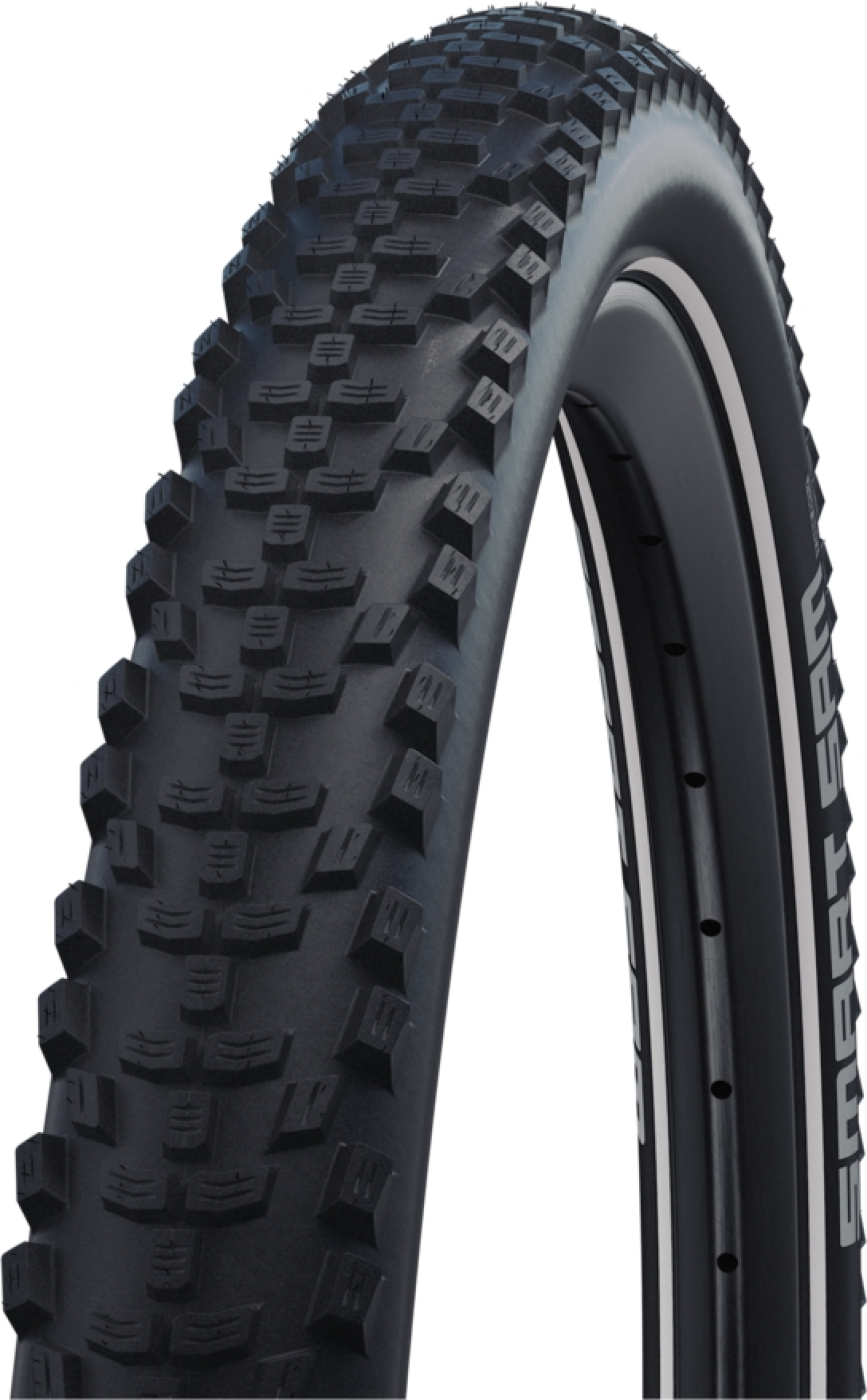 SCHWALBE Smart Sam Performance pneu à tringle rigide 29x2.60" DD RaceGuard Snakeskin Addix marron/noir