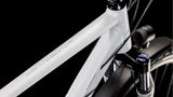 Cube Nature Pro Allroad coton´n´gris (2025)