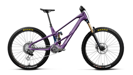 Orbea WILD LT M-LTD RS Royal Plum-Noctiluca C.View (Brillant)