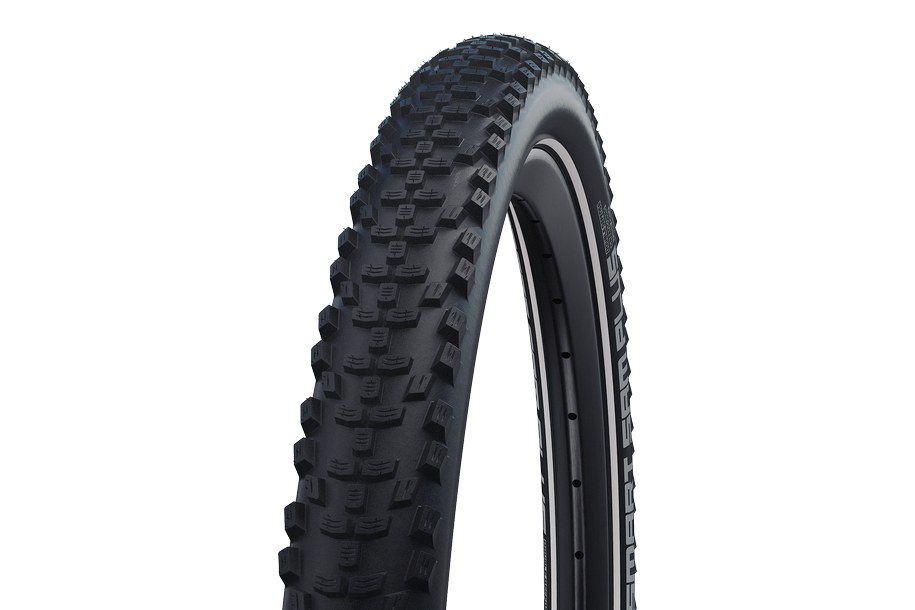 Schwalbe SMART SAM PLUS pneu Performance DD GreenGuard 54-584 noir