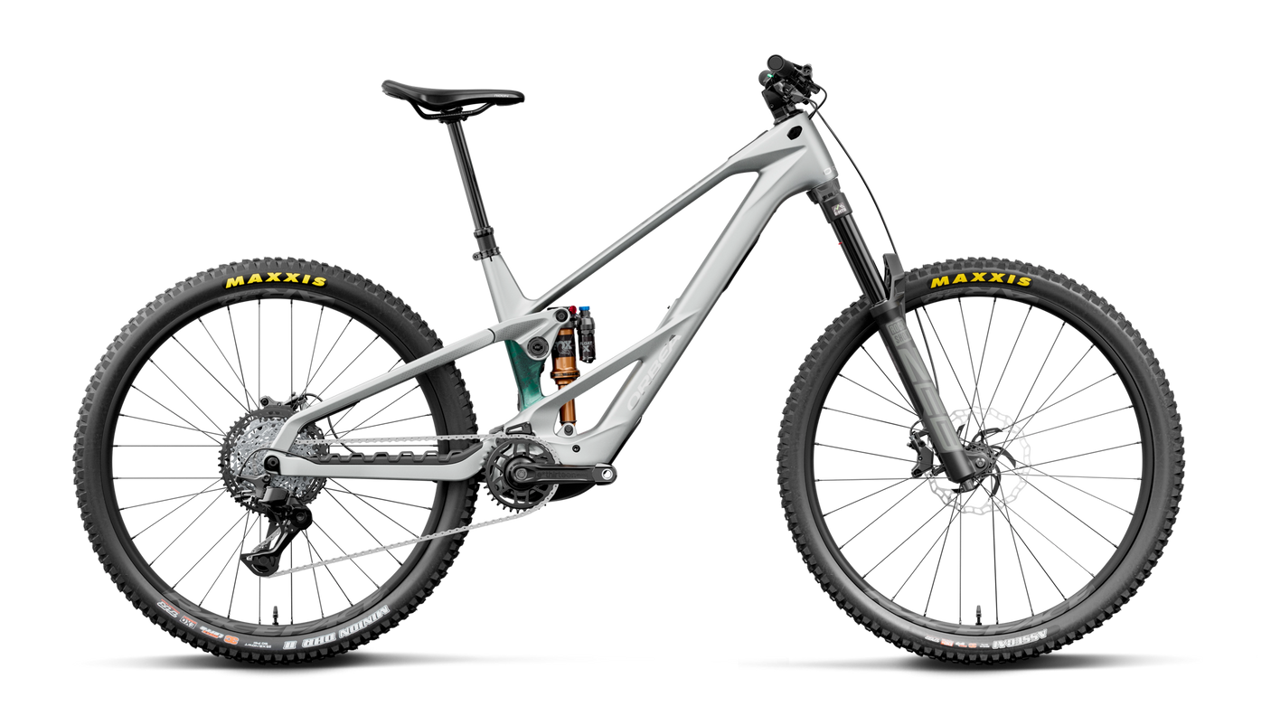 Orbea WILD LT M20 Smooth Silver (Mat) - Escape Green C. View (Brillant)
