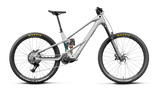 Orbea WILD LT M20 Smooth Silver (Mat) - Escape Green C. View (Brillant)