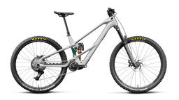 Orbea WILD LT M20 Smooth Silver (Mat) - Escape Green C. View (Brillant)