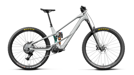 Orbea WILD LT M20 Smooth Silver (Mat) - Escape Green C. View (Brillant)
