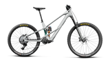 Orbea WILD LT M20 MULLET Smooth Silver (Mat) - Escape Green C. View (Brillant)