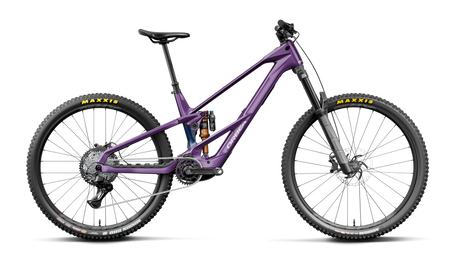 Orbea WILD LT M20 Prune Royale-Noctiluca C.View (Brillant)
