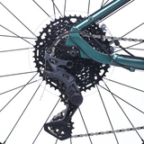 ACCADEMY S-grade Gravel 5 24" Forêt (2025)