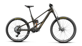 Orbea WILD LT M20 MULLET Magic Gold C. Vue (Mat) - Titan Gold (Brillant)
