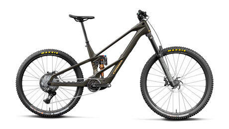 Orbea WILD LT M20 MULLET Magic Gold C. Vue (Mat) - Titan Gold (Brillant)