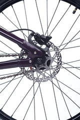 Academy PUMP 6 Prune