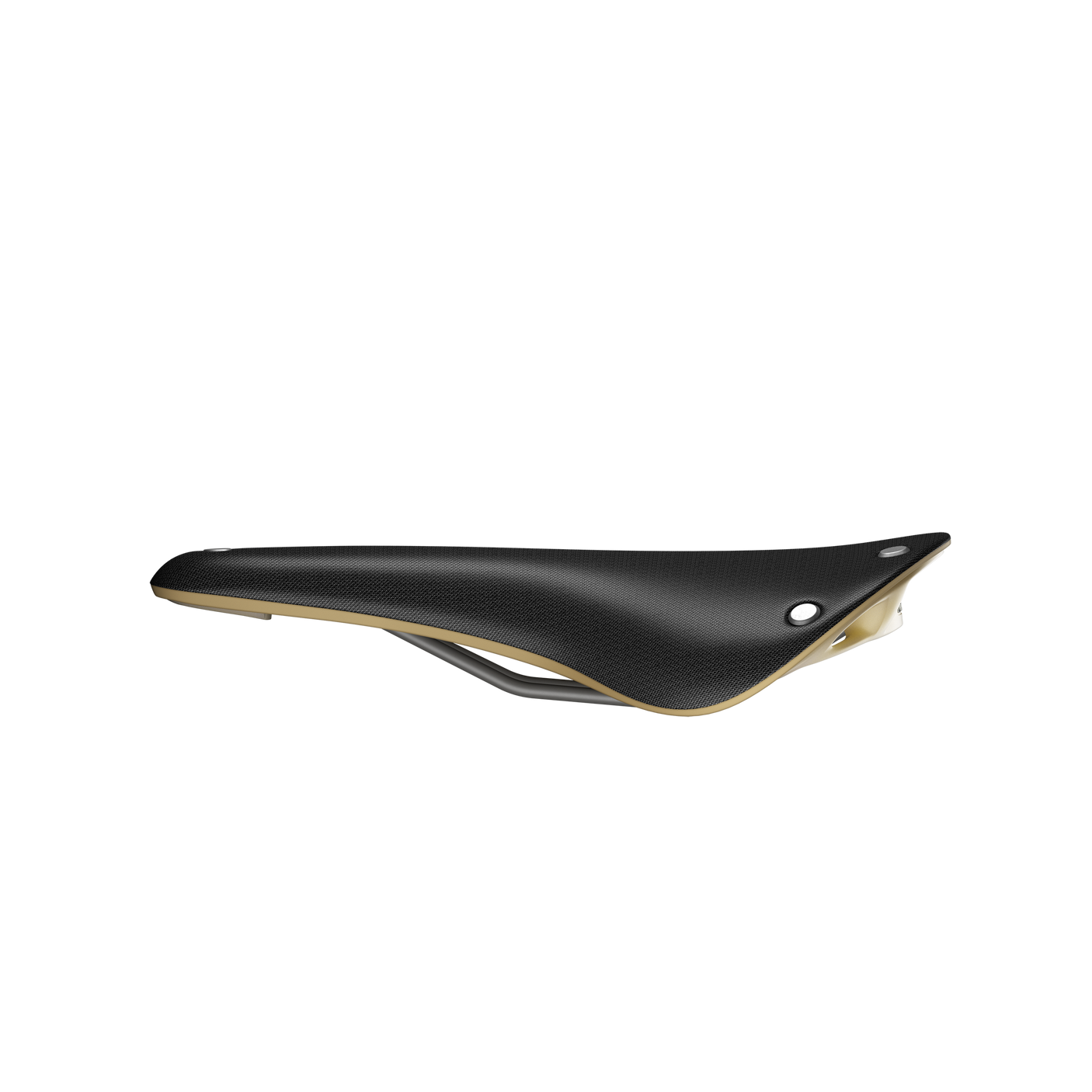 Selle Brooks Cambium C17 Special noir