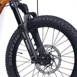 Academy Trail 4 Ambre