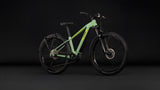 Cube Reaction Hybrid ONE 720 FE Diamant cactus´n´black (2027)