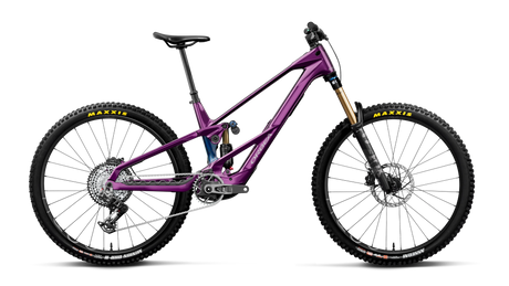 Orbea WILD LT M-TEAM RS Royal Plum-Noctiluca C.View (Brillant)
